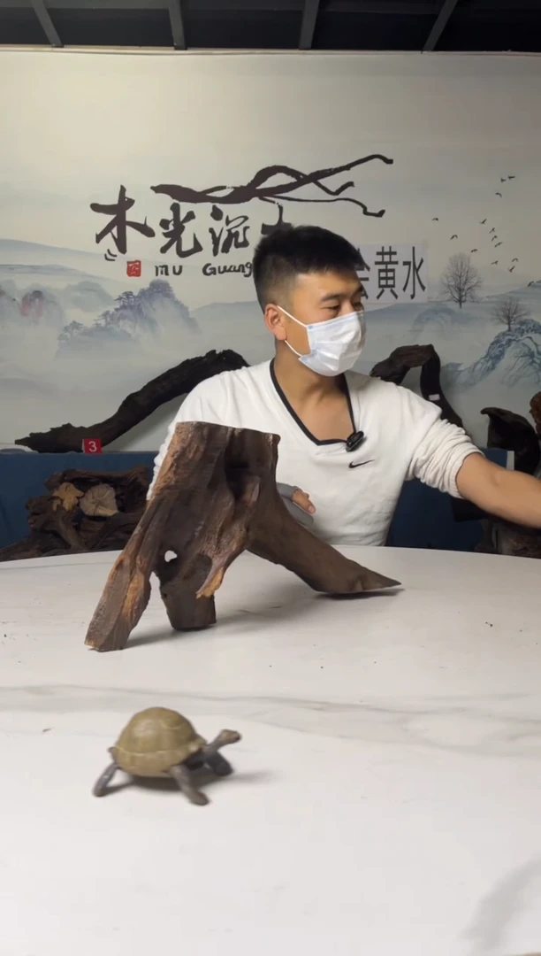 a643木光沉木木光沉木643