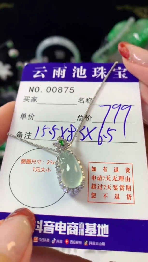 翡翠银S925镶嵌颈饰翡翠