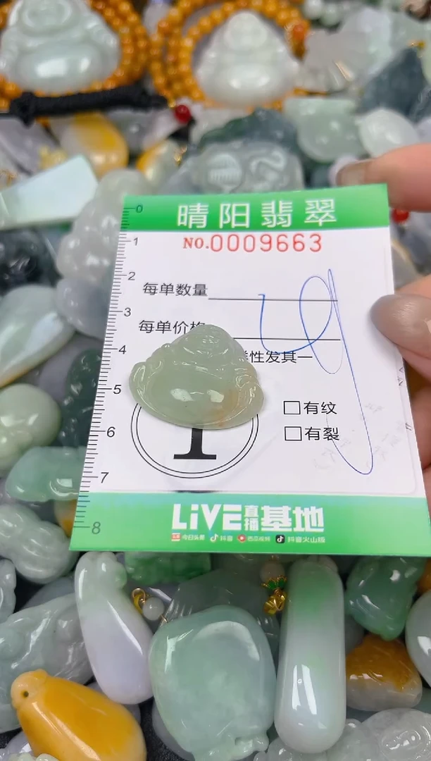 翡翠未镶嵌颈饰闪购0009663