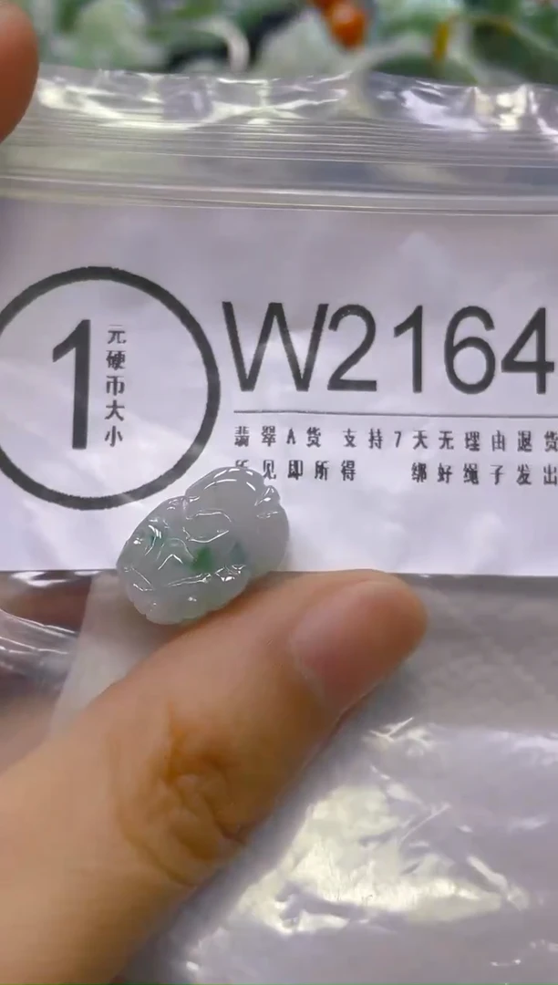 翡翠未镶嵌颈饰/W/翡翠A货一图一物