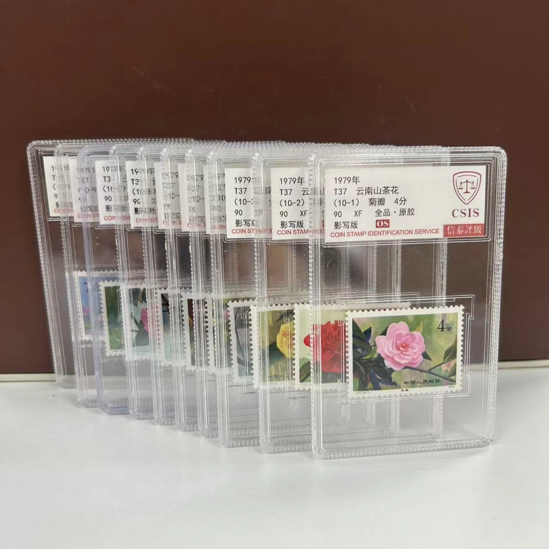 T37 云南山茶花 信泰评级 盒子 90os