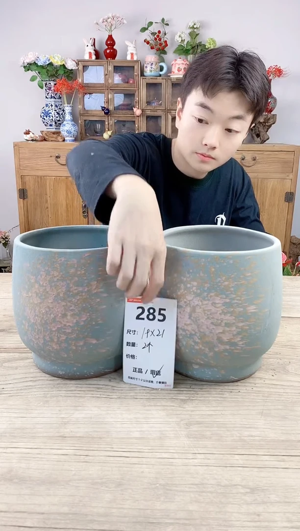 小玩子花盆直播号285