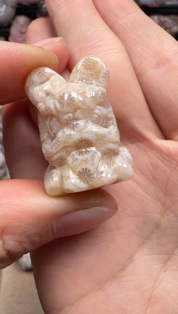 【闪购商品】硅化珊瑚（珊瑚玉）颈饰未镶嵌108