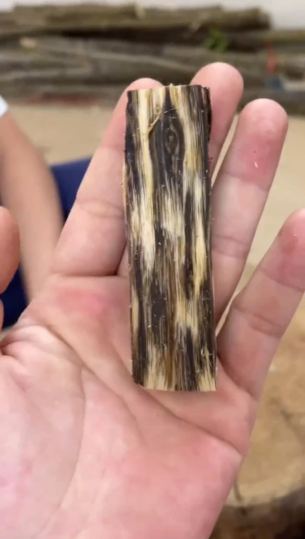 沉香沉香碎屑棋楠沉香 原料文创1