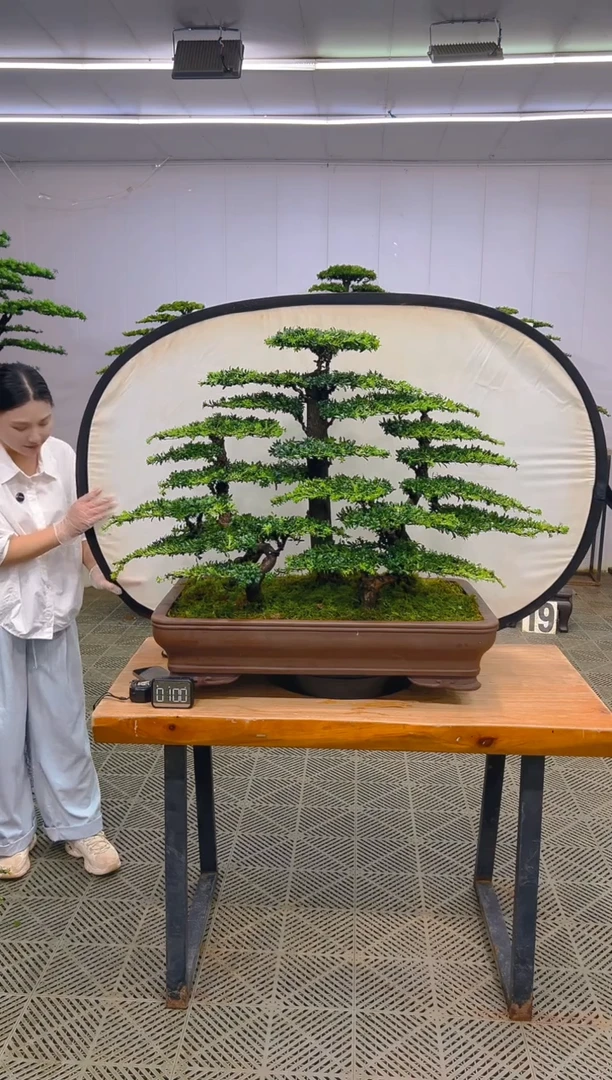 无花朵一物一拍一物一拍