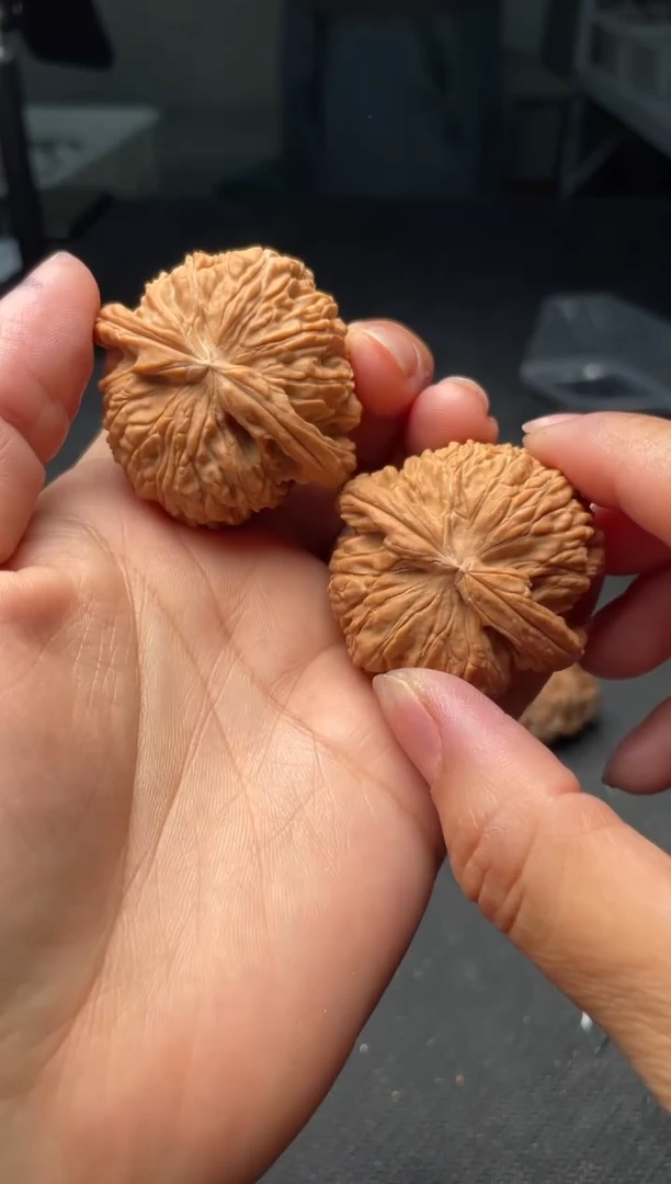 把件文玩核桃w194   白狮子 43