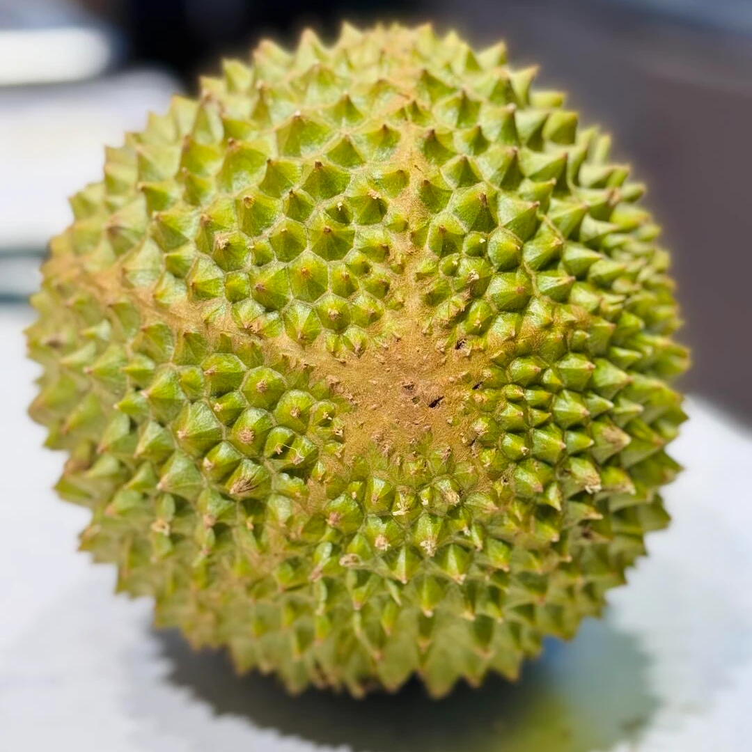 【闪送到家】新鲜猫山王榴莲AA果 部分核大 一物一拍（3-7斤）猫山王泰国马来西亚