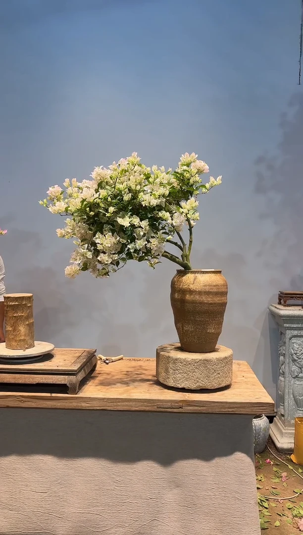 全部花朵@***4三角梅8