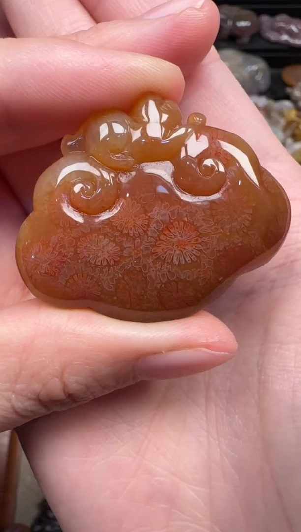 颈饰未镶嵌硅化珊瑚（珊瑚玉）373