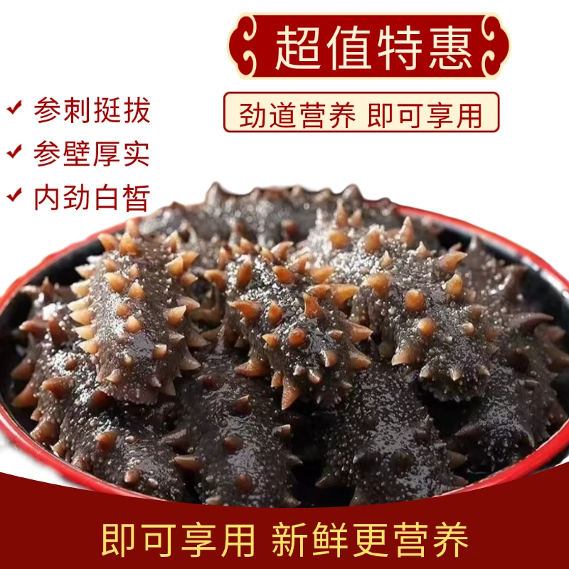 30根鲜食海参5公分左右营养新冷冻食用精选产地冷链直发冷冻保存