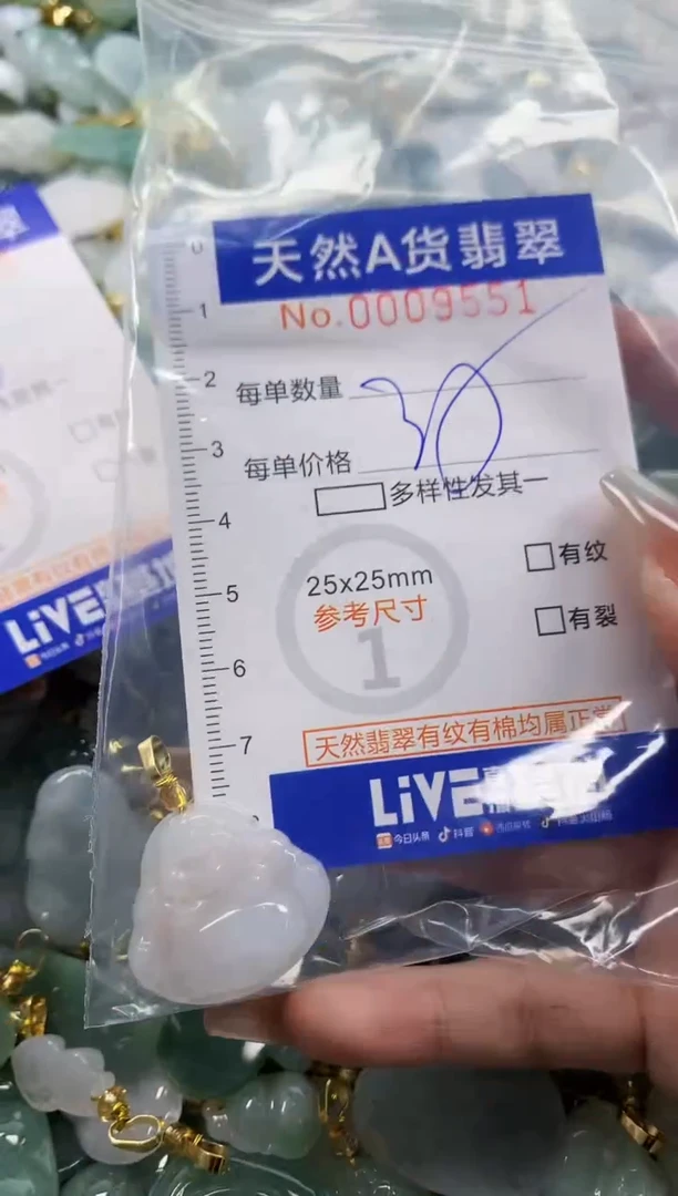 颈饰未镶嵌翡翠S*P天然A货翡翠