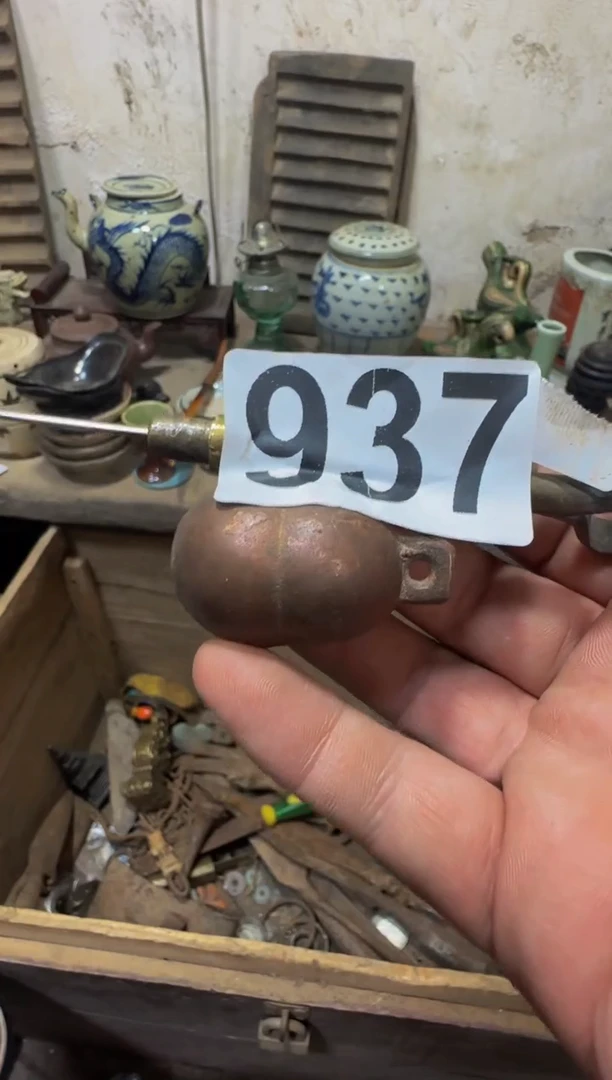 张**站闪购0616小龙专属链接