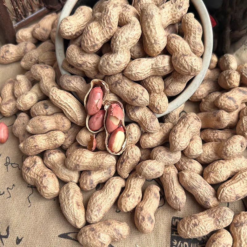 农家柴火，炒花生，现炒现发，质地饱满，口感香脆，小时候的味道