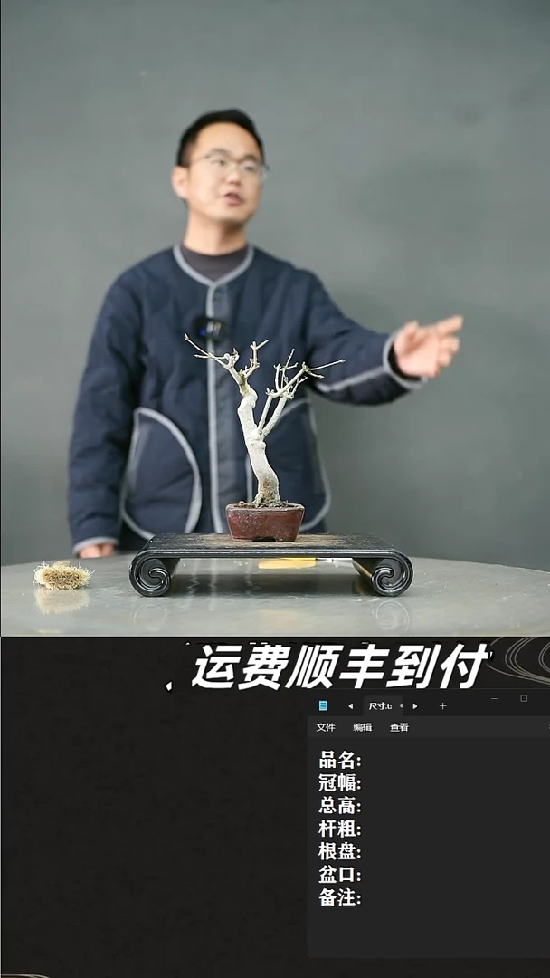 【闪购商品】33山红叶33