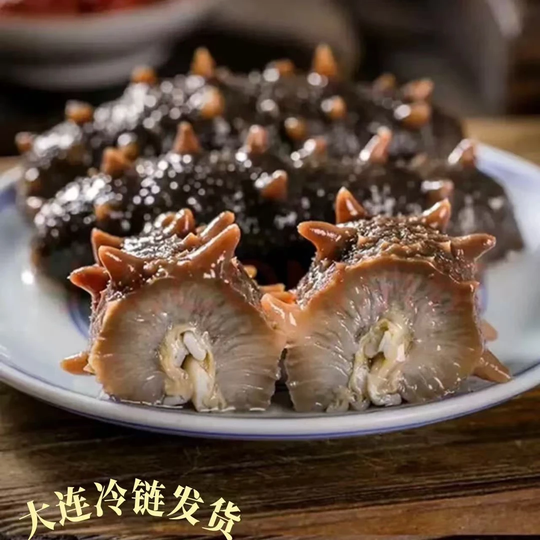 【特大买30根送20根】鲜食即食大连工厂海参肉厚刺参秋参