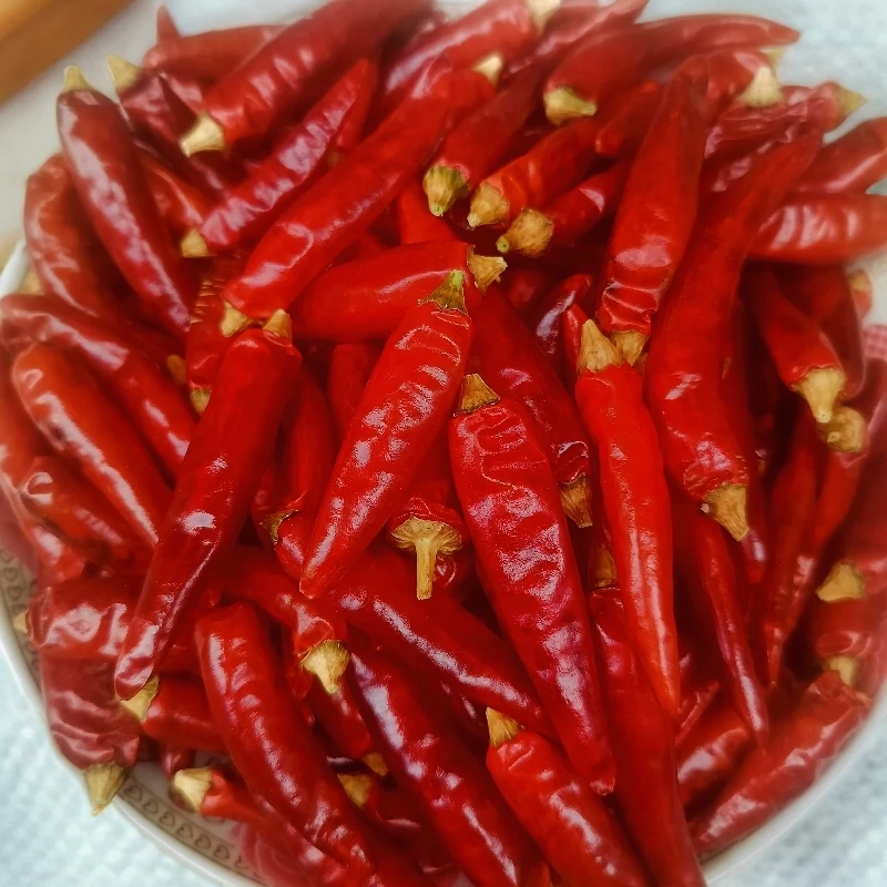 遵义太阳晒满天星，特香特辣干红辣椒。（特辣）