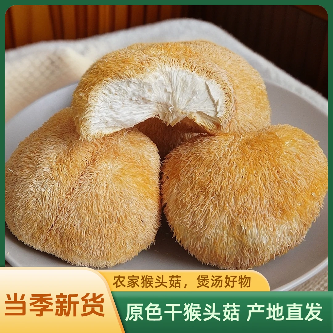 【当季新货】猴头菇干货100g无熏饱满煲汤食用菌干猴头菇产地直发