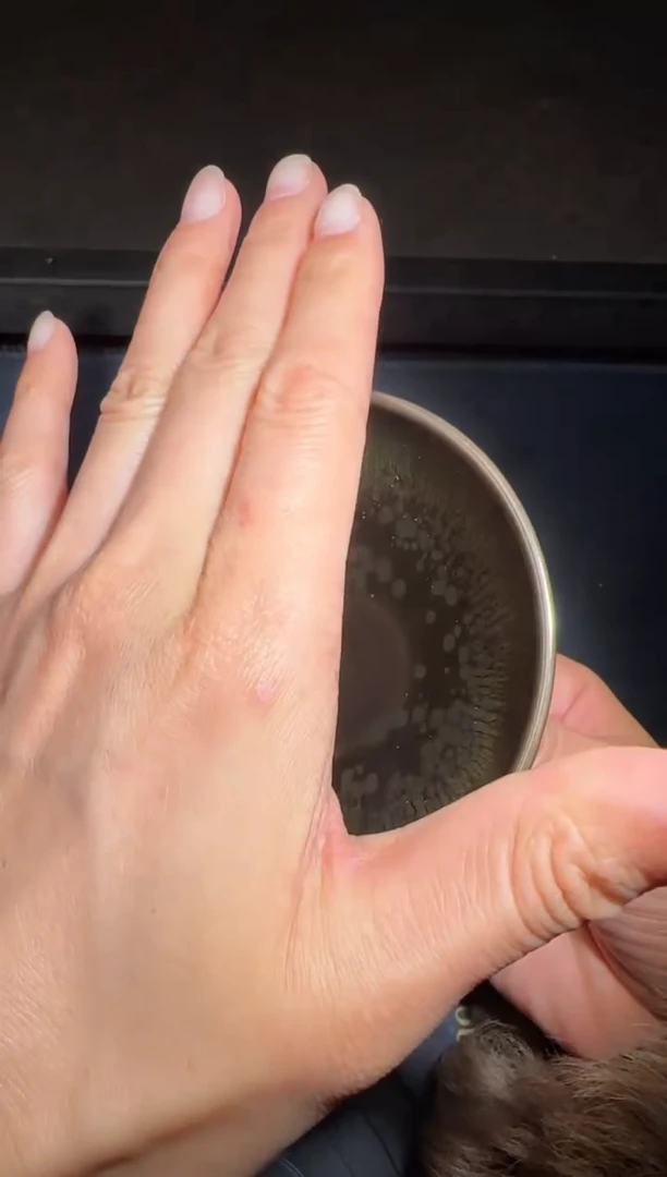 【闪购商品】茶盏徐长和高端收藏90