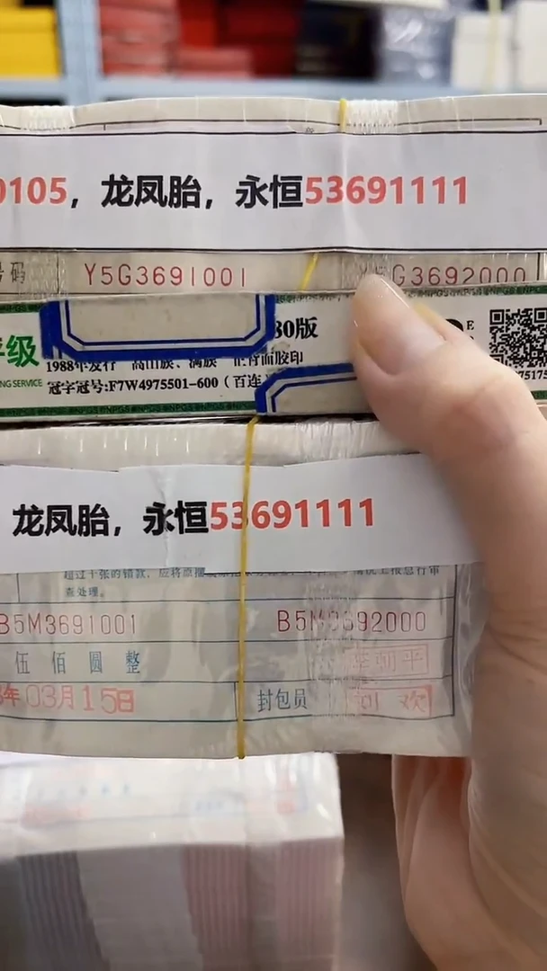 M  0105，龙凤胎，永恒53691111