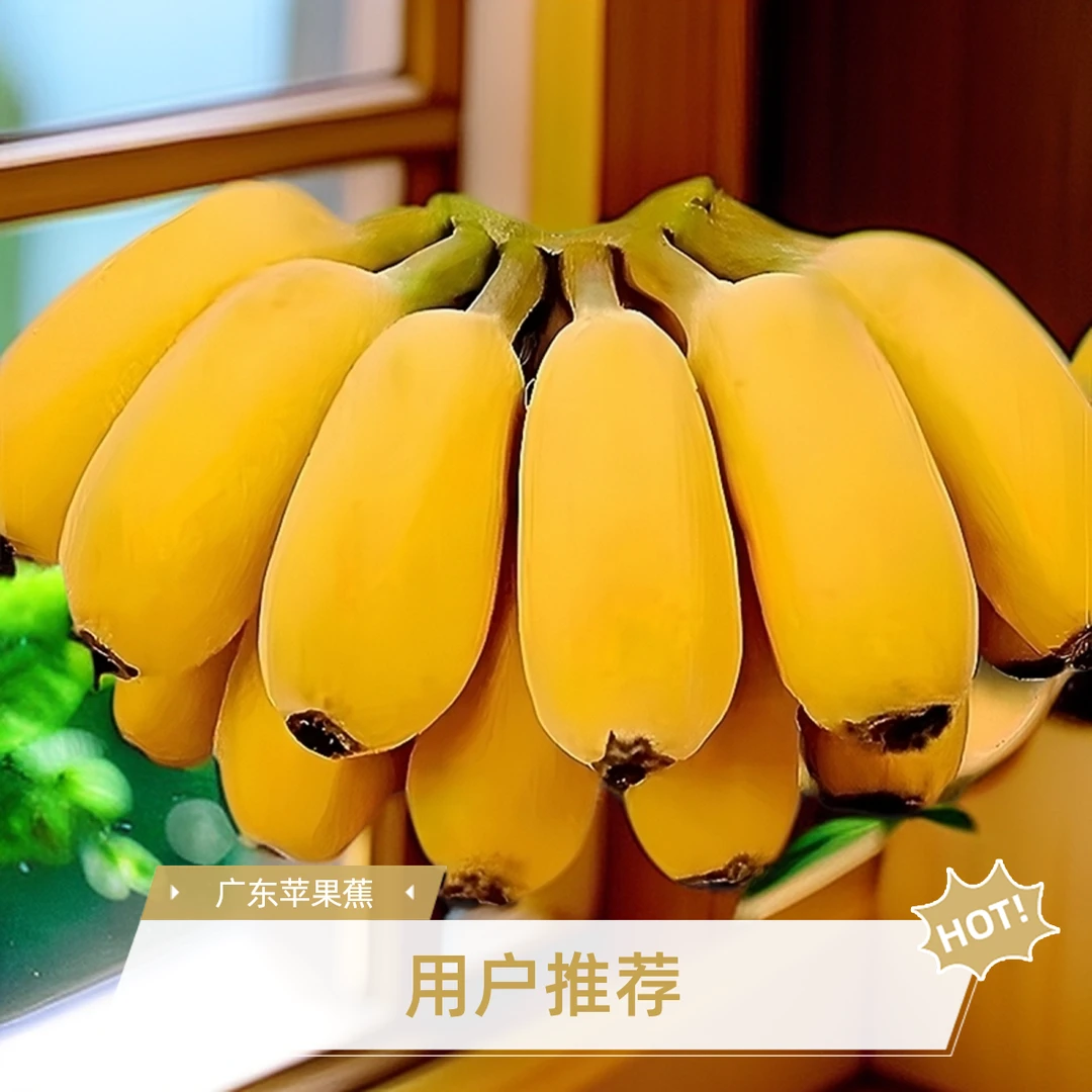 广东苹果蕉当季优质农产品苹果粉蕉香甜助农水果香蕉新鲜现摘包邮