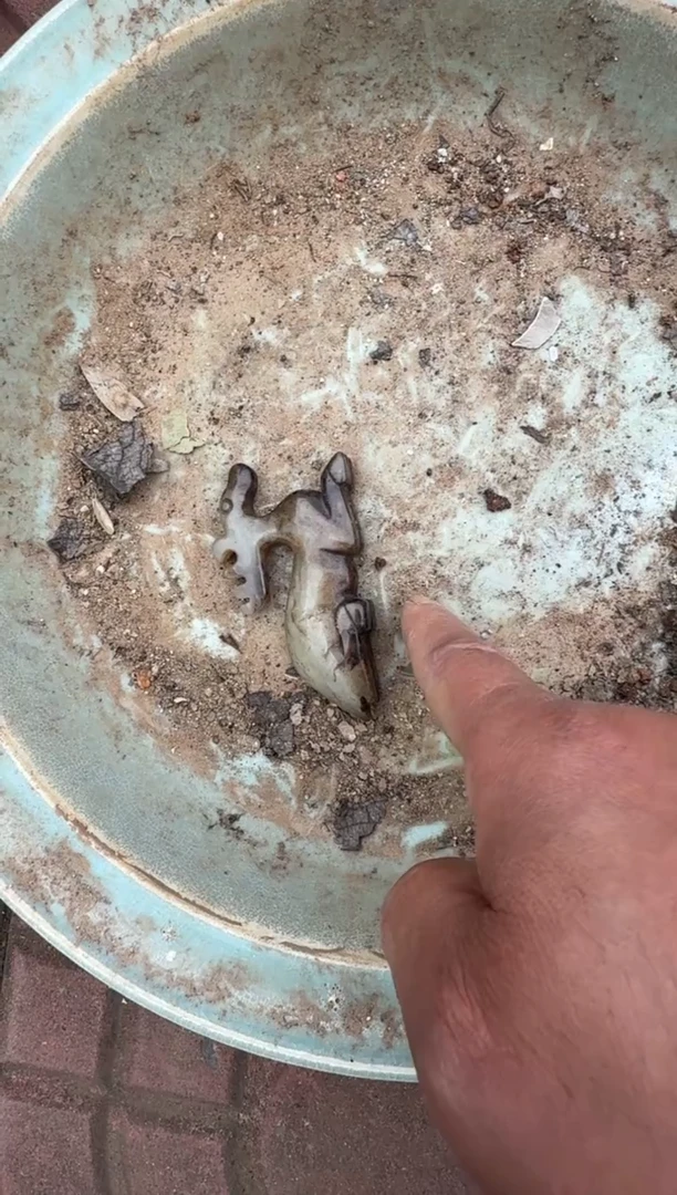 摆件瓷器瓷器瓷器瓷器