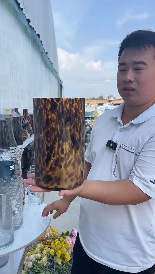 玻璃花瓶用于客厅桌面插花装饰