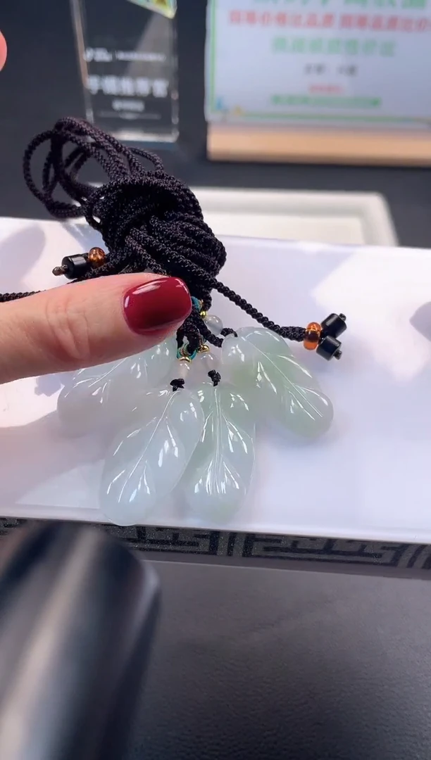 颈饰未镶嵌翡翠25110403A 多样性发一