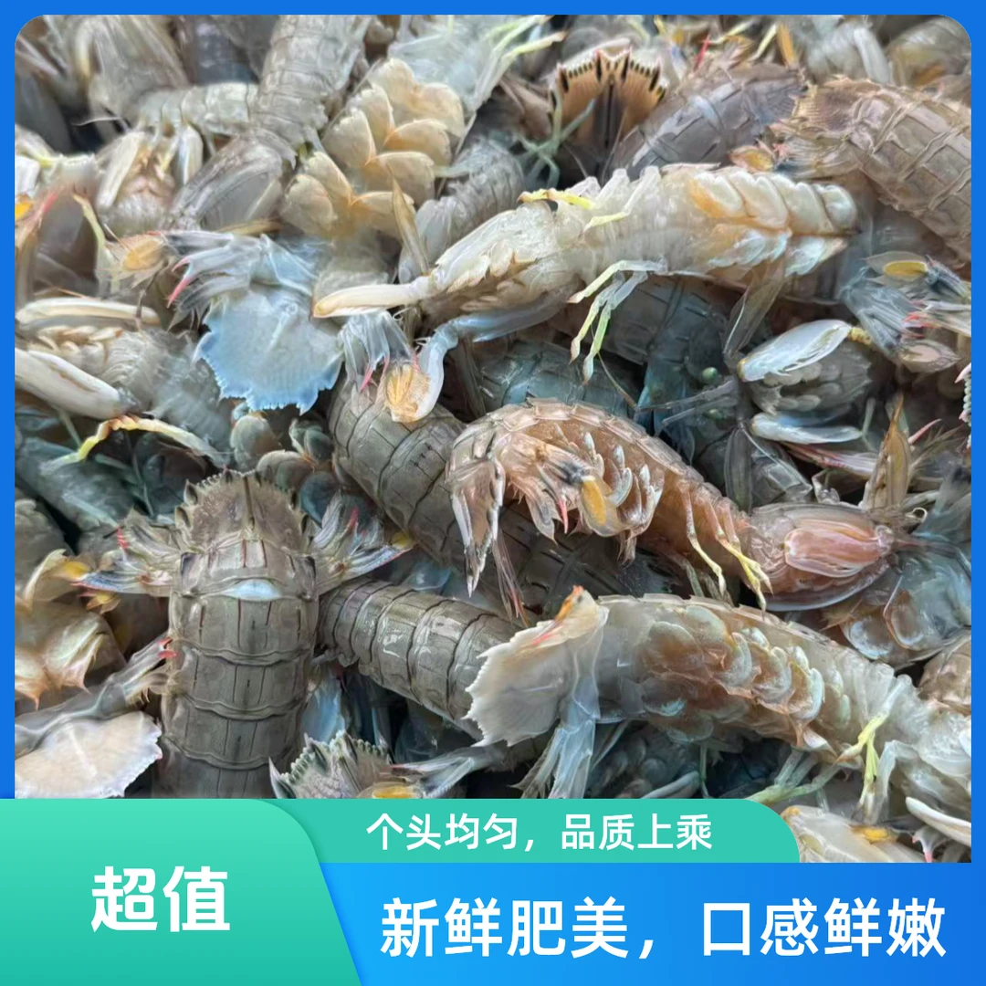 三斤！虾爬子25头左右/斤
