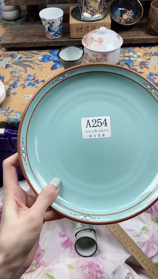 瓷片净*                A254