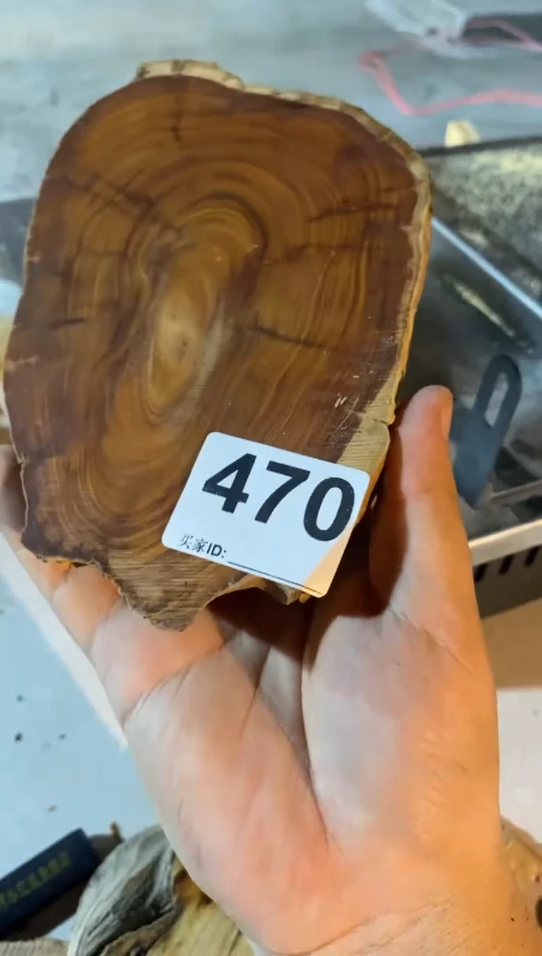 柏木（崖柏）熙*~太行山陈华崖柏切片一片