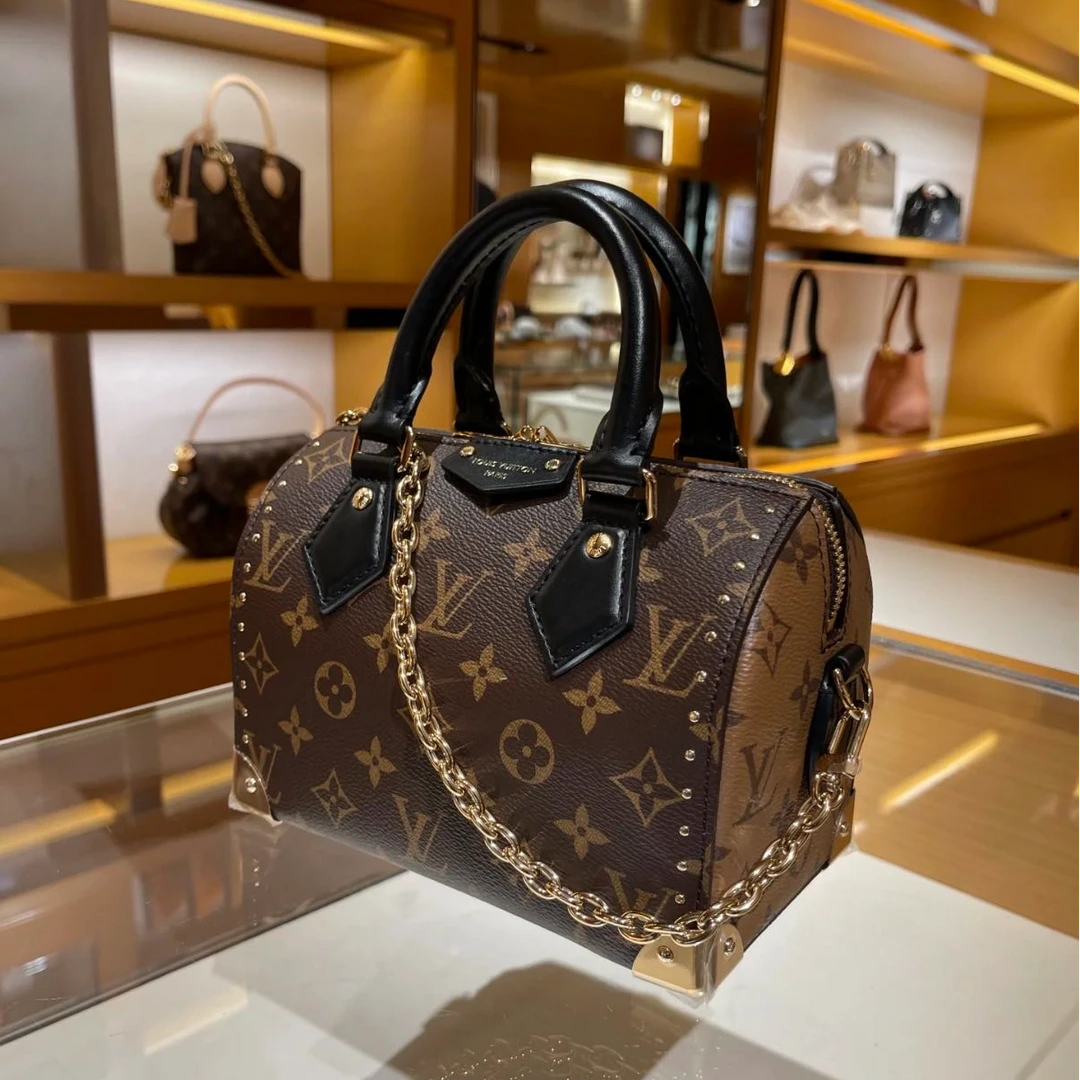 全新未使用 LouisVuitton/路易威登 LV 枕头speedy trunk 20 包