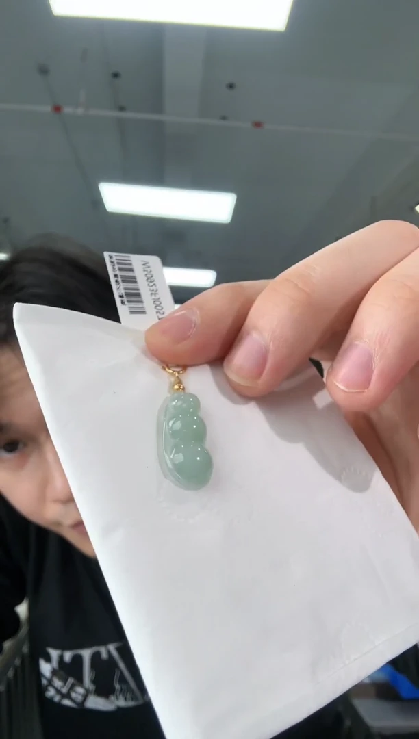吊坠(不含链)18K金镶嵌翡翠翡翠吊坠
