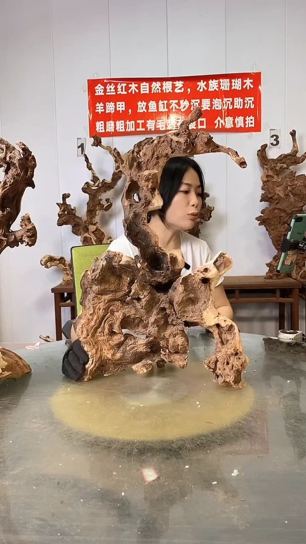 香榧木金丝红木  羊蹄甲