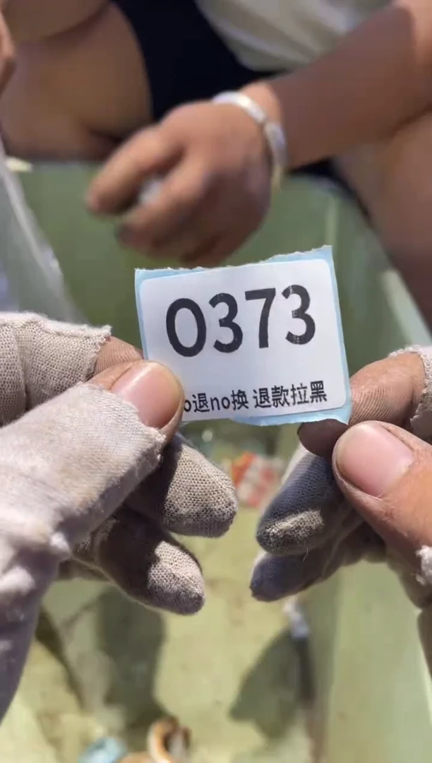 瓷片平*心表弟直播链接火爆火爆