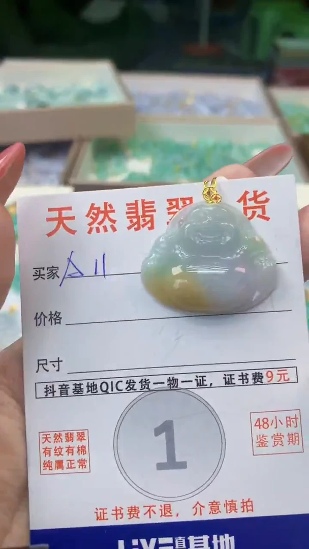 颈饰银S925镶嵌翡翠天然A货翡翠挂件