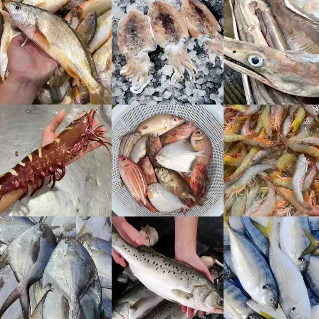 小昆 直播间现改现称海鱼链接 顺丰冷链发货