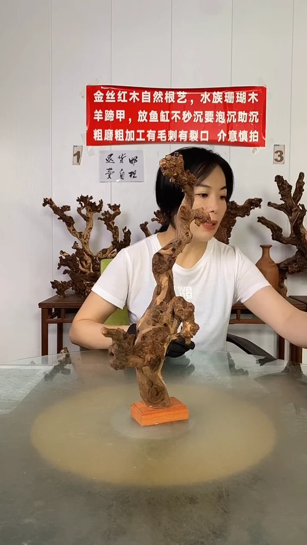 香榧木梦****7金丝红木   羊蹄甲