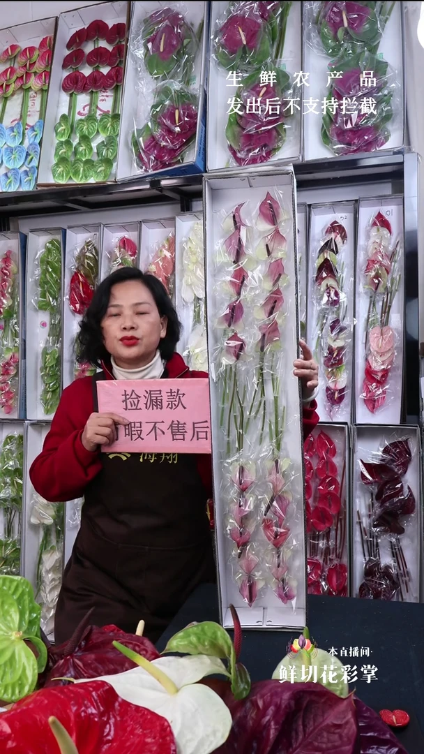 完全开放马克西玛20支(长15-20cm横冠幅6有瑕福利不退不换不售后