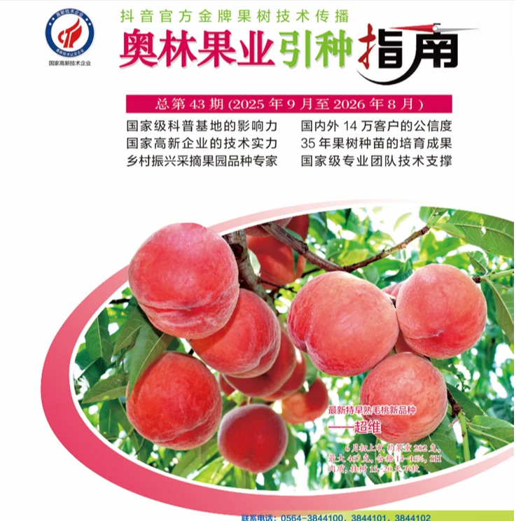 2025-2026奥林果业引种指南,各品种介绍彩页