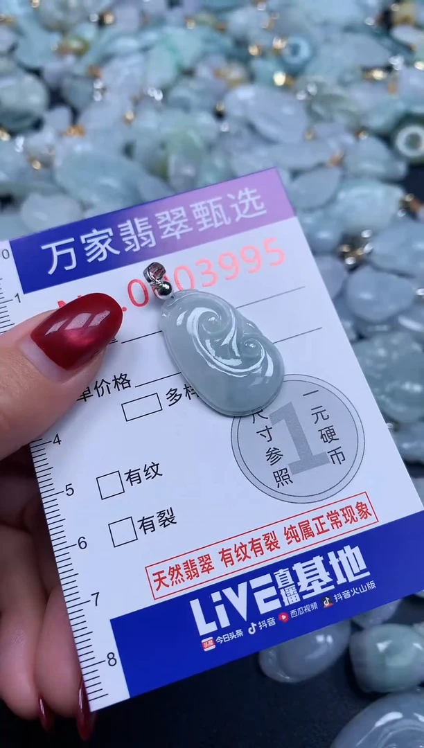 颈饰未镶嵌翡翠3995