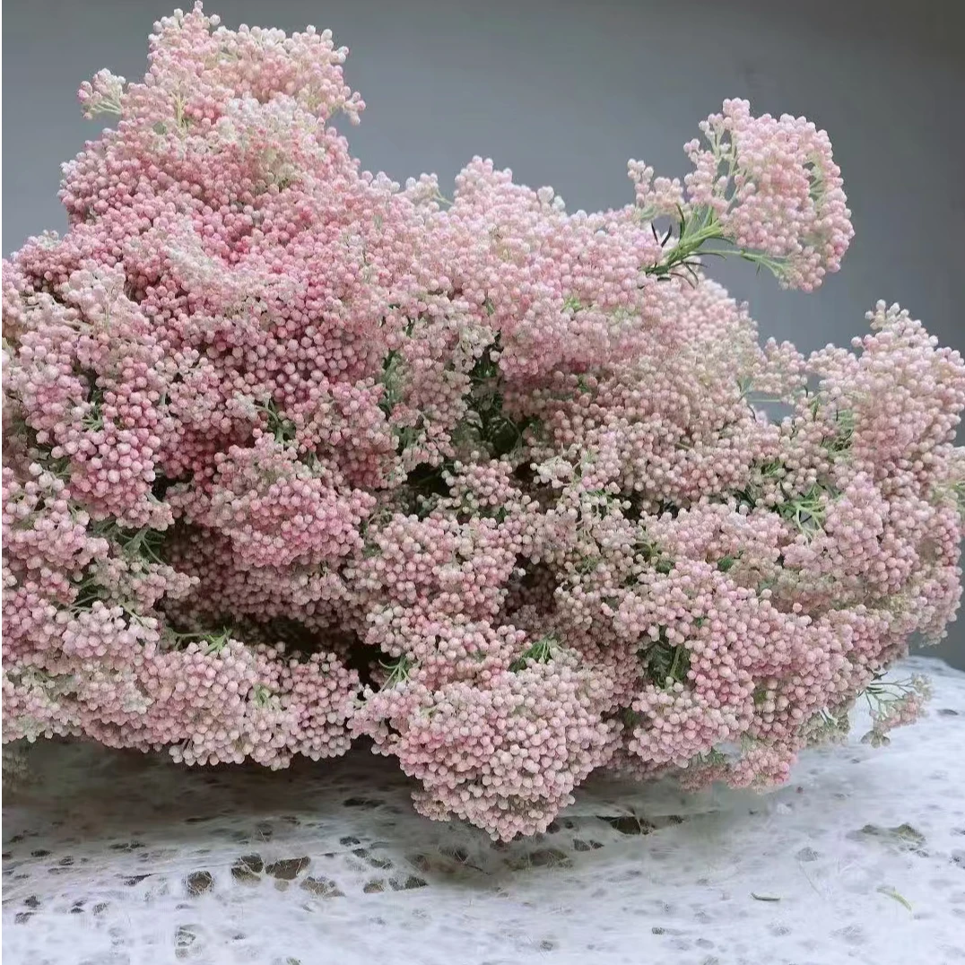 小米花粉色白色小众稀有花材花束送礼云南昆明新鲜发货顺丰包邮