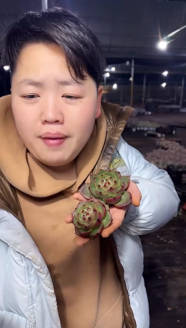 精控小蓝龙2颗 5.99