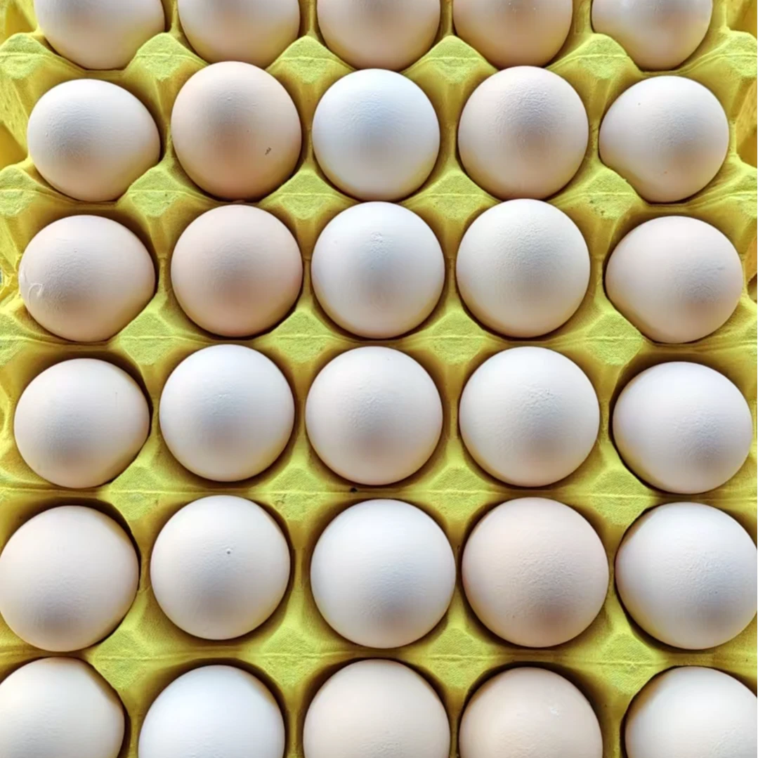 新鲜草鸡蛋个子大价格实惠亲民