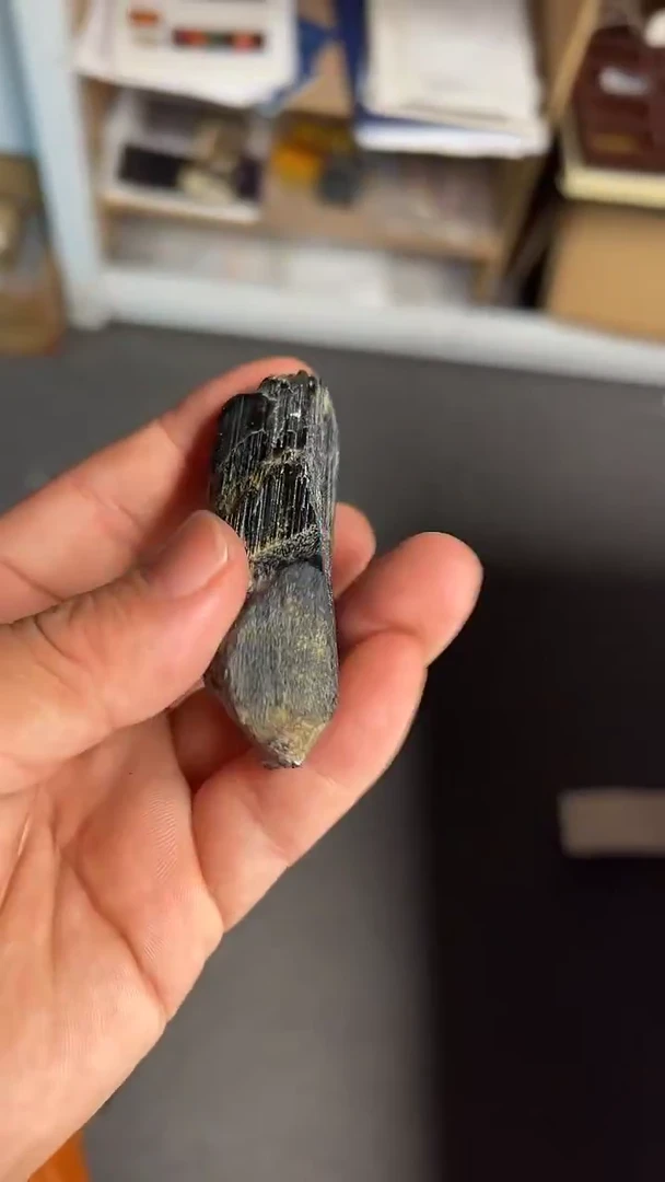 未镶嵌珠宝奇石碧玺 /无优化/多样性发一件/无