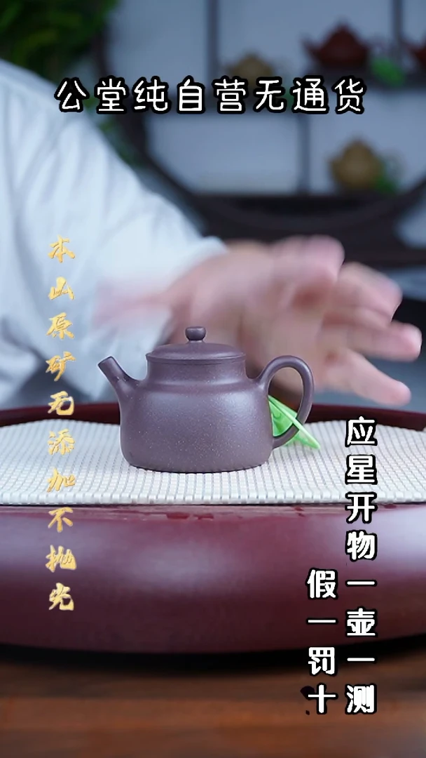 茶壶紫砂大水潭天青泥 言心德钟 150cc