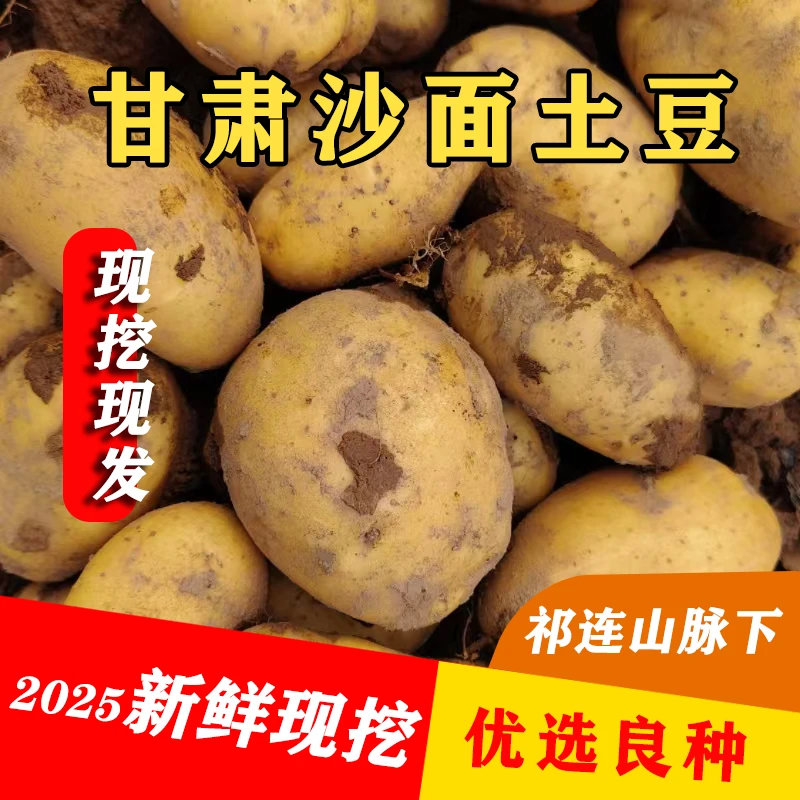 2025现挖新鲜甘肃沙面粉糯土豆净重包邮粉面洋芋马铃薯
