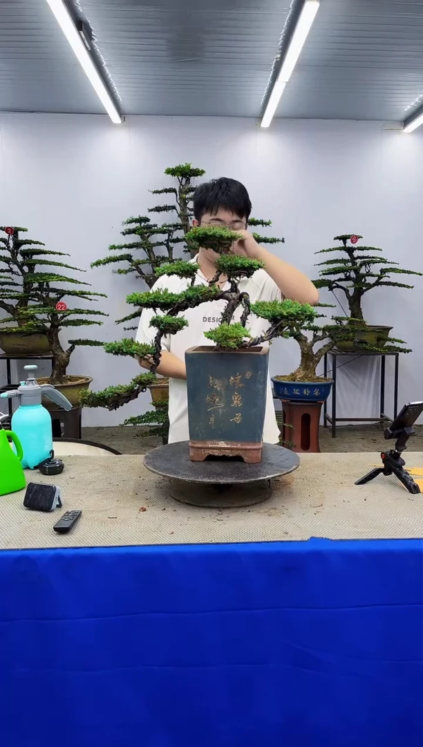 无花朵一物一拍，所见即所得
