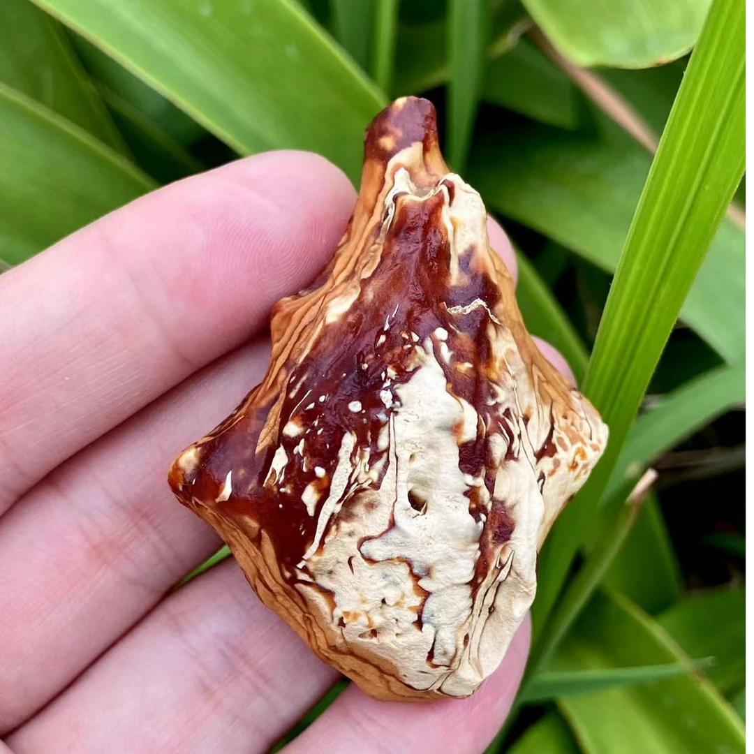 天然琥珀蜜蜡原石橘红黑金妖彩妖拉丝特色私人原皮定制直播间