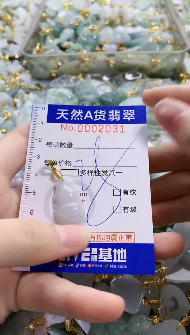 颈饰未镶嵌翡翠纯天然a货翡翠
