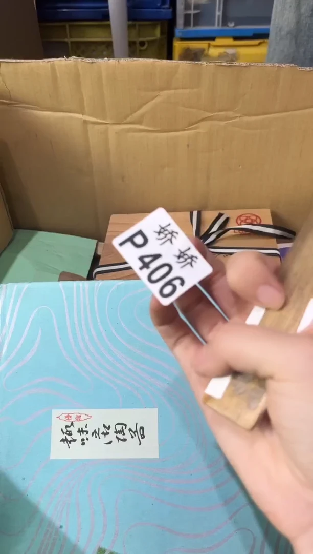 瓷片彭*儿406定向 彭豆儿定向 彭豆儿